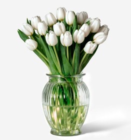 Tulipanes blancos y su significado
